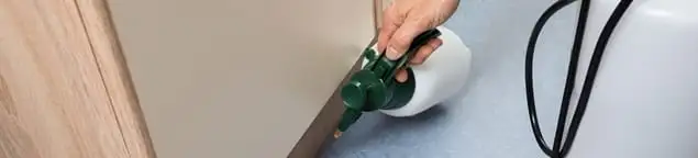Bed bug exterminator treating baseboards and cracks with targeted spray in Pasadena, CA
