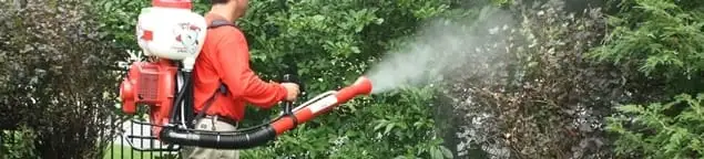 Mosquito control technician fogging shrubs and landscaping for mosquito treatment in Pasadena, CA