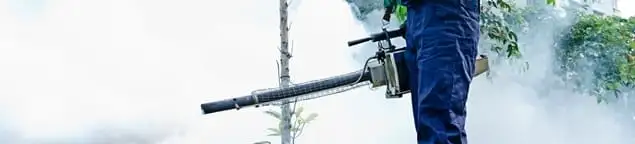 Pest control technician fogging an outdoor area for insect control in Pasadena, CA