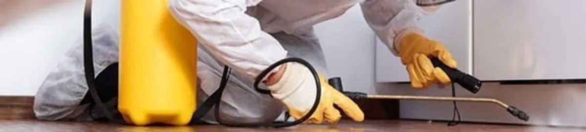 Roach exterminator treating cracks and crevices along kitchen baseboards in Pasadena, CA