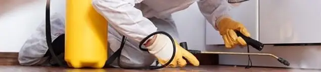 Roach exterminator treating cracks and crevices along kitchen baseboards in Pasadena, CA