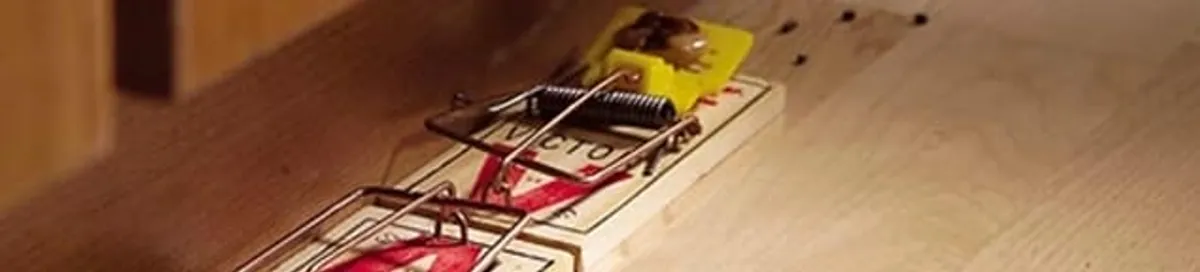 Rodent trap set indoors for rodent control and prevention in Pasadena, CA