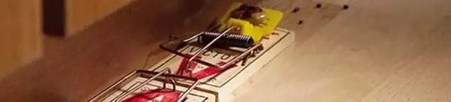 Rodent trap set indoors for rodent control and prevention in Pasadena, CA