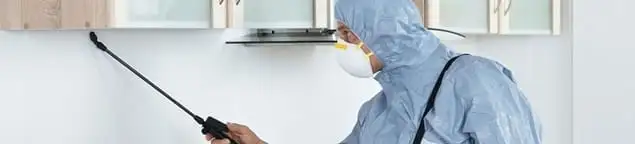 Termite treatment technician applying indoor pest control spray in Pasadena, CA
